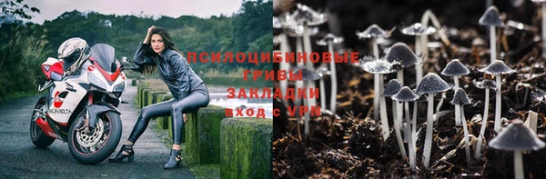 прущая мука Кинешма