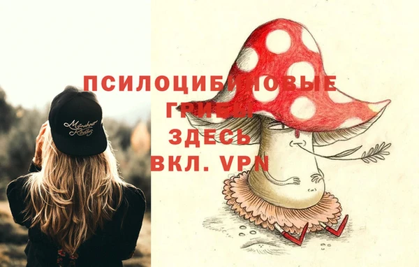 гидропоника Киреевск