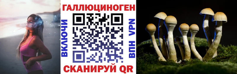 Купить где  Любим  Галлюциногенные грибы Psilocybe 